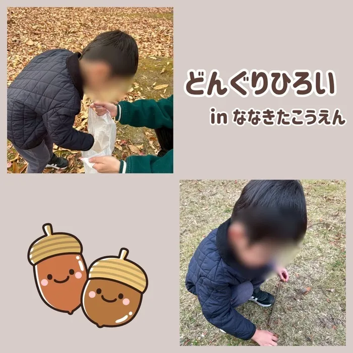 虹色のたね　明石台/どんぐりひろい