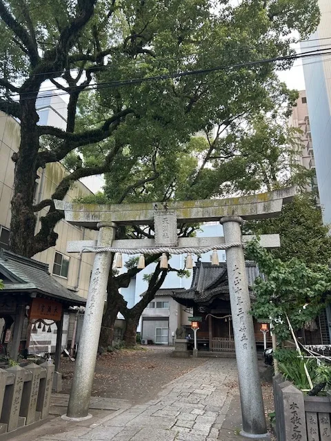 11月1日開園予定・オープニング児童募集　みらいステップ・未就学募集/外部環境