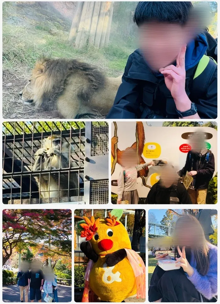 ふれあいみらいキッズの画像