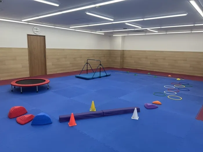 運動遊びと療育支援　こどもプラス吉川教室/設備