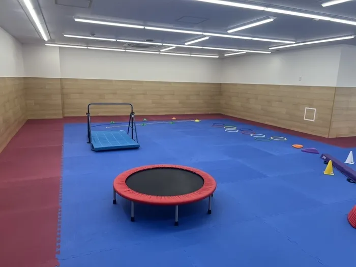 運動遊びと療育支援　こどもプラス吉川教室/設備