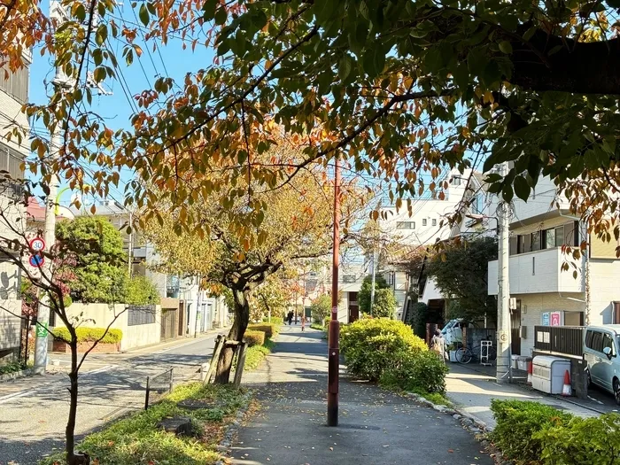 放課後等デイサービス　ウィズ・ユー三軒茶屋/外部環境