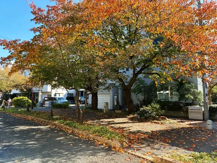 放課後等デイサービス　ウィズ・ユー三軒茶屋/外部環境