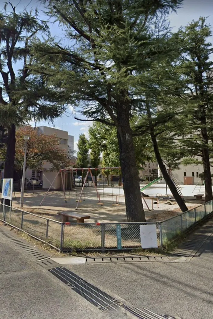 Luminous/スタッフの専門性・育成環境