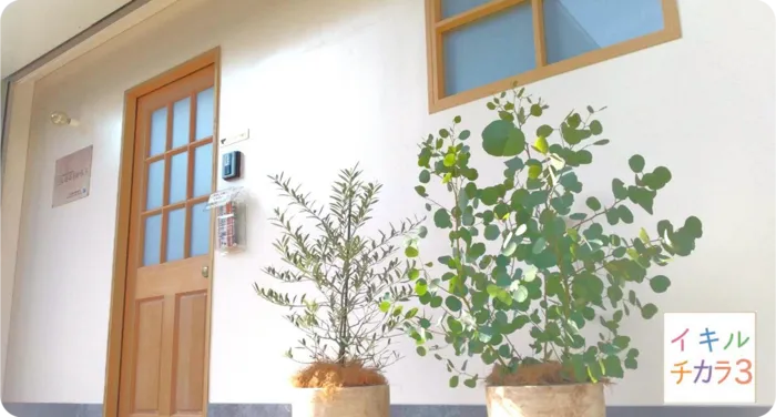 いきるちから6/外部環境