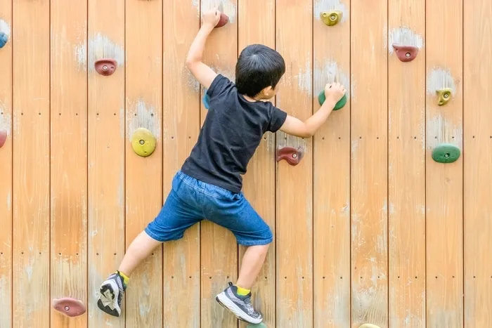 らいずキッズしらさぎ/プログラム内容