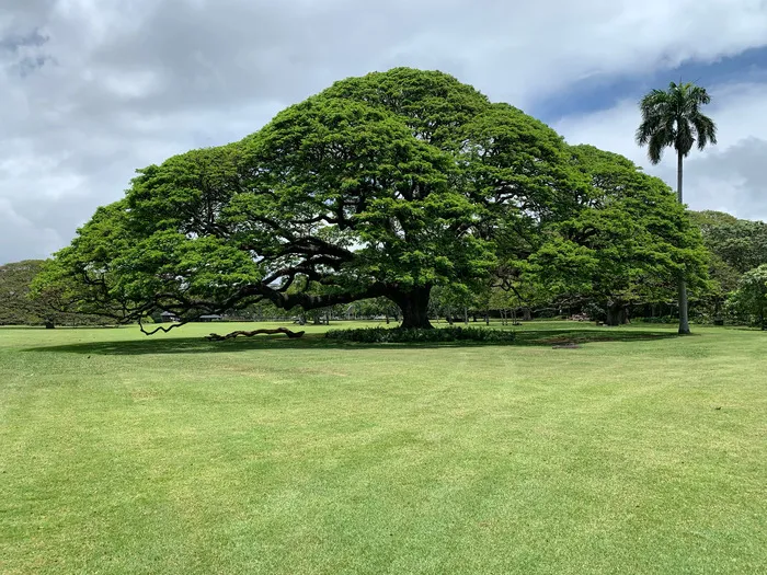 2026.02月オープン☆　Racesa相模原古淵教室/プログラム内容