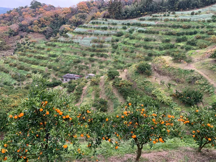 2026.02月オープン☆　Racesa相模原古淵教室/「寒いね」と･･･