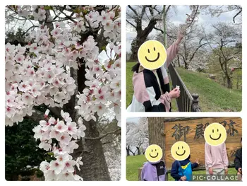 SMILE HOUSE にこnico/桜満開！お花見に行ってきました🌸