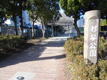 どれみ/スタッフの専門性・育成環境