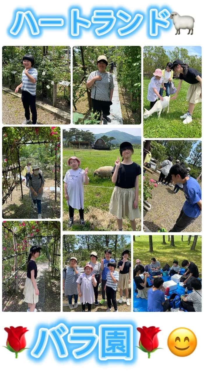 HIYOKO　STUDY館下教室/ハートランド🐑🐐🍀