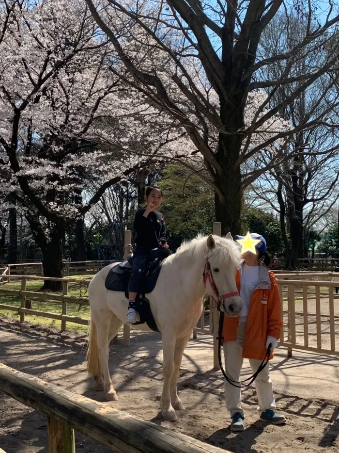 どんぐり/【お出かけ】乗馬しました♪