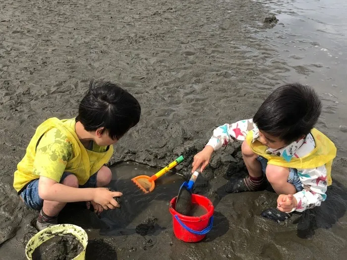 どんぐり/【お出かけ】潮干狩り