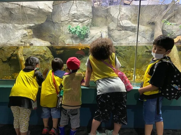 どんぐり/【お出かけ】さいたま水族館