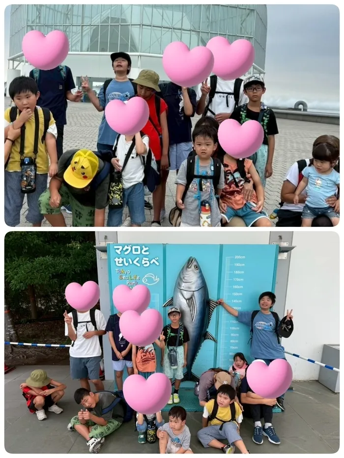 どんぐり/【夏の思い出】葛西臨海公園