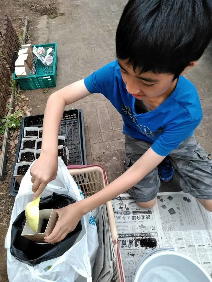 どんぐり/【食育】種まきしました！