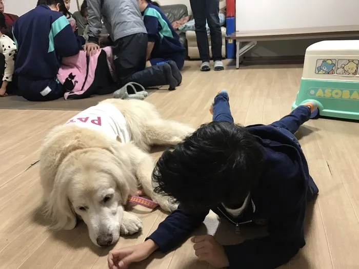 どんぐり/【動物セラピー】ラブとの触れ合い♪