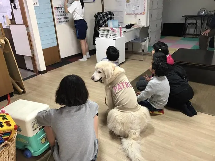 どんぐり/【動物セラピー】2018.3.13 第21回ラブの日