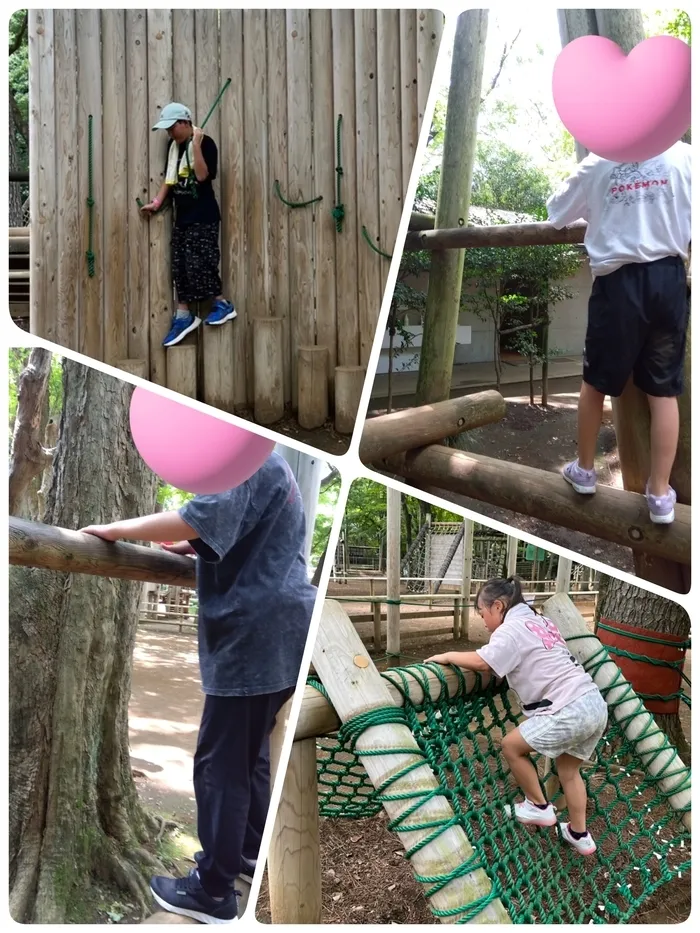 どんぐり/【夏の思い出】清水公園