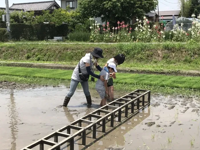 どんぐり/【お出かけイベント】　毎年恒例(^^♪）田植え体験♪　