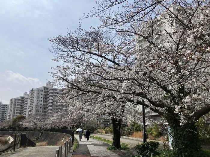 キッズわんあおぞら/お散歩