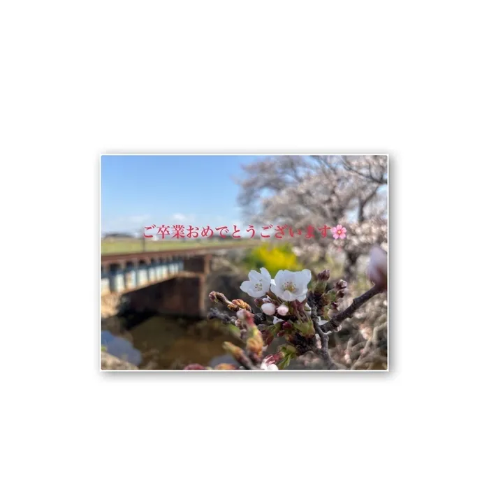 キッズわんほし/卒業式