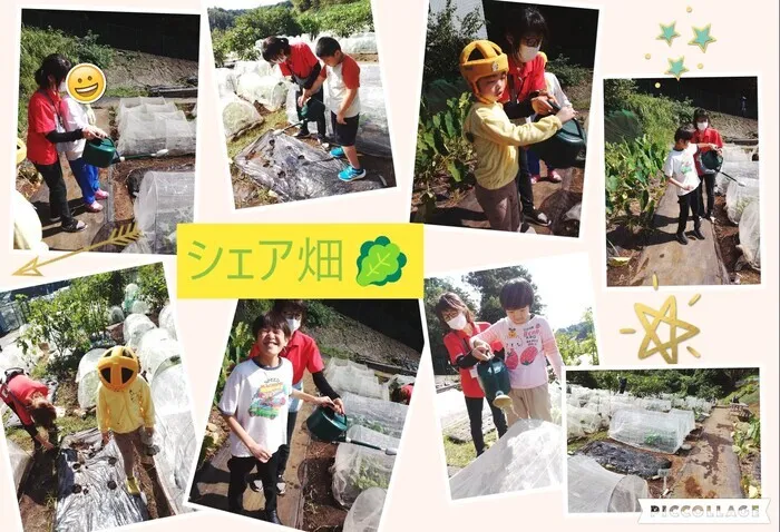 キッズわんデイサービス東戸塚/シェア畑🥬