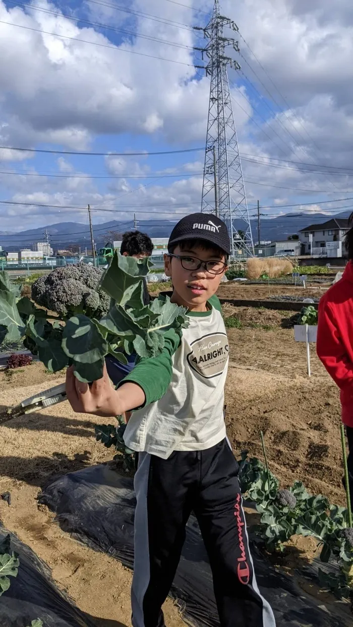 児童デイSES沼津するが校/大きなブリッコリー🥦を収穫