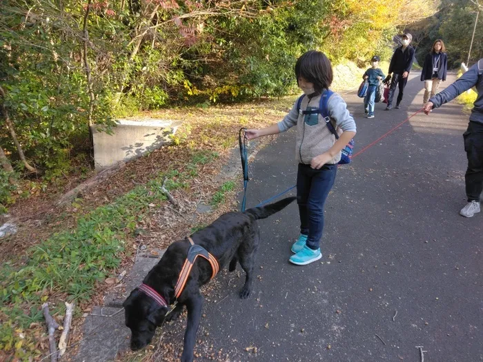 リカバリー富士/スタッフの専門性・育成環境