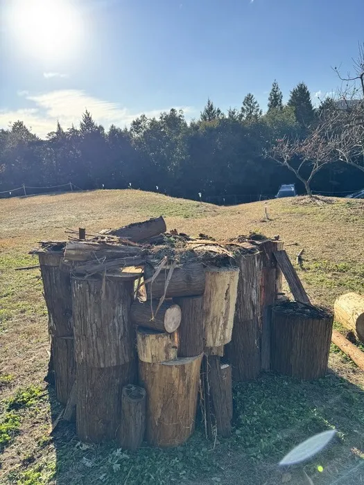 「就労準備型」放課後等デイサービスNESTING熊野の画像